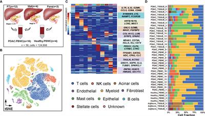 Single-cell RNA-seq analyses inform necroptosis-associated myeloid lineages influence the immune landscape of pancreas cancer